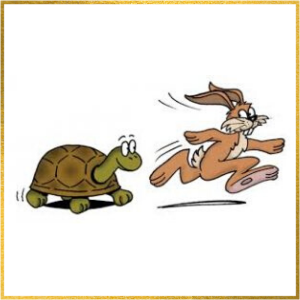 The Hare And The Tortoise - Positive Wellness